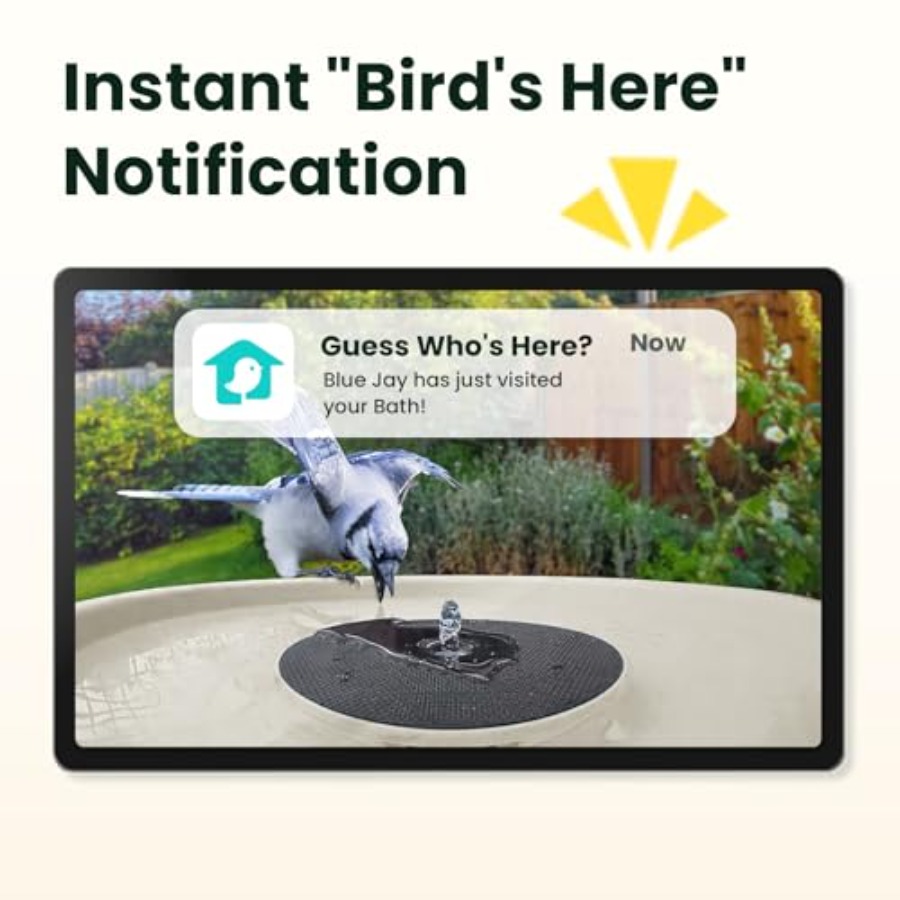 Bird Watching Smart Bird Bath  - Watch Smart Smartwatch บทวิจารณ์และราคา